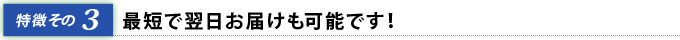 その3　最短で翌日お届けも可能です！